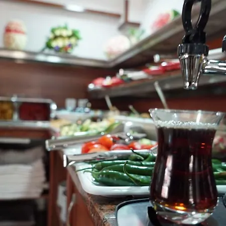 호텔 Sami Akar Saray 하타이